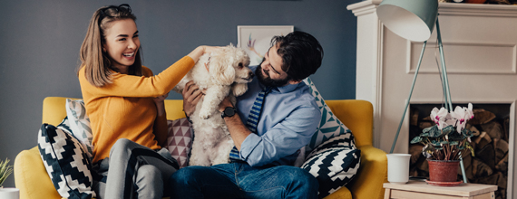 Man and Woman play on couch with a dog