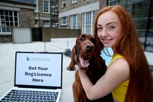 Dog-Licence1