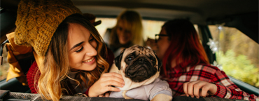 Women in car with a dog