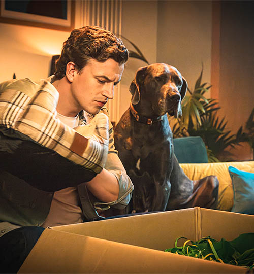 Man looking into a box holding a small dog bed with a large dog beside him