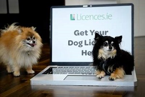 Dog-Licence2